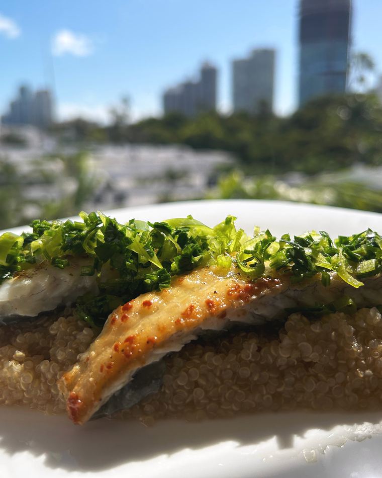 Sea bass on quinoa photographed against a coastline at anchor