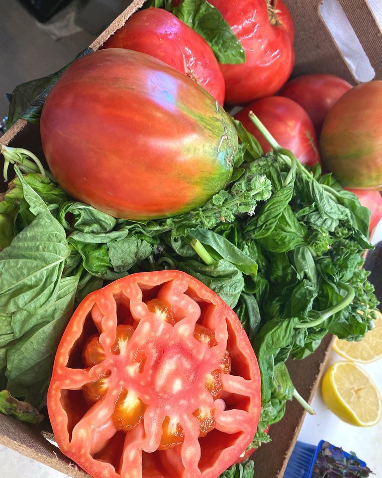 Heirloom tomatoes with basil in a crate