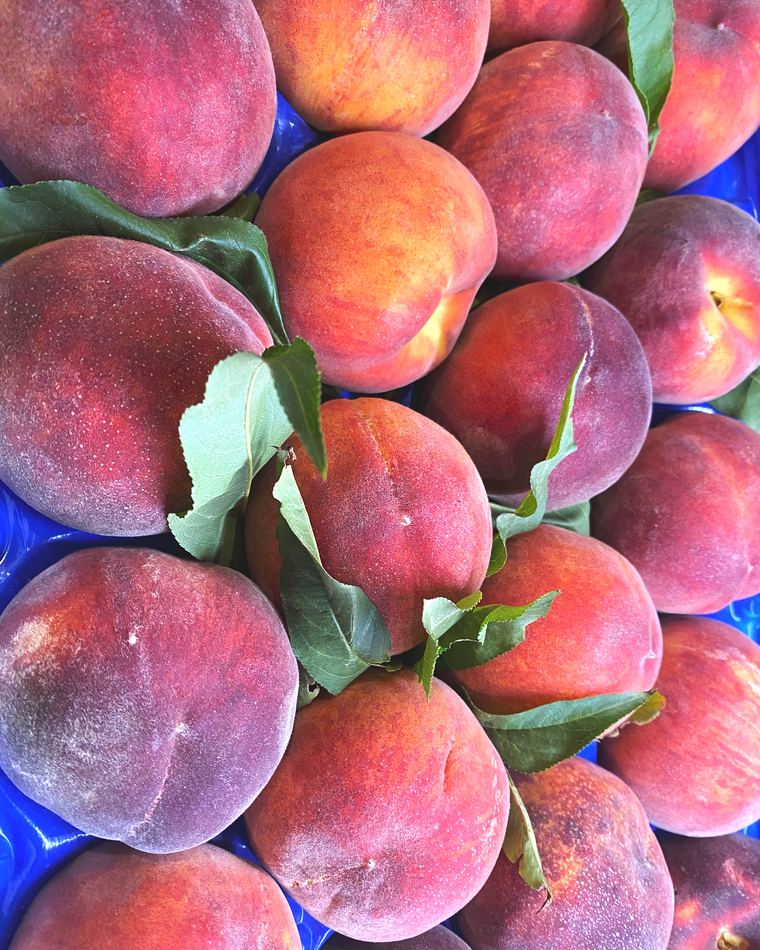 Peaches in a crate with leaves