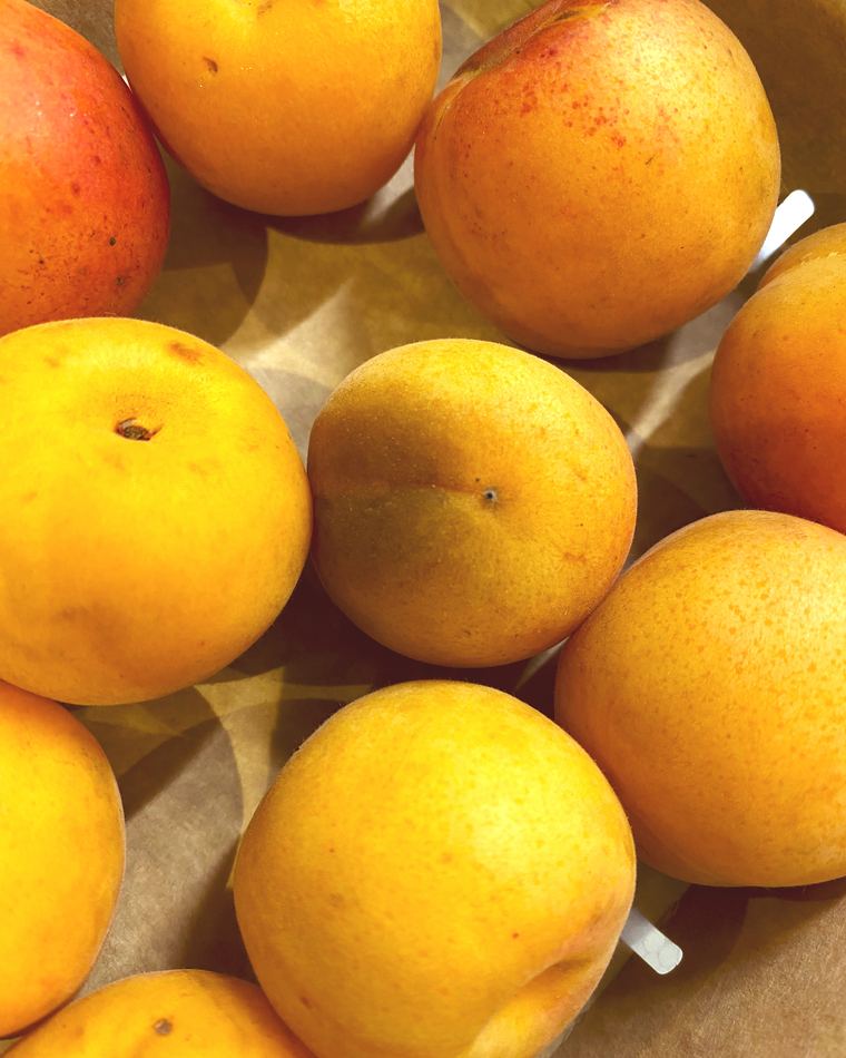 Apricots in a paper-lined box